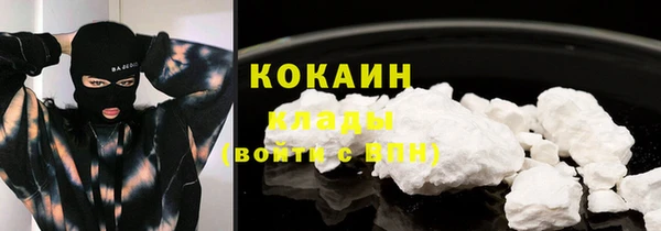 хмурый Лиски