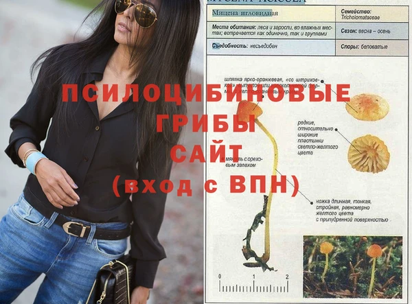 скорость Лагань