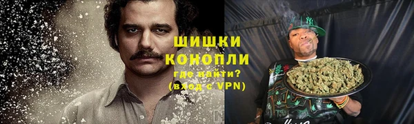 хмурый Лиски