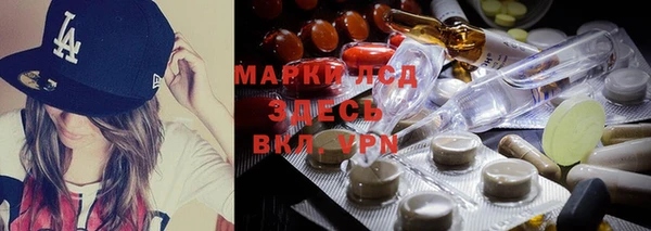 хмурый Лиски