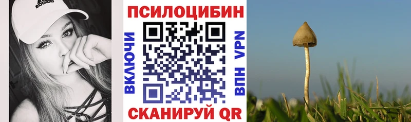 Галлюциногенные грибы Psilocybine cubensis Купить Полысаево